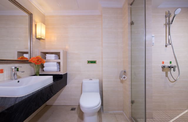 Deluxe Non-smoking Suite