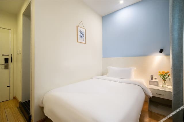Boutique Single Room
