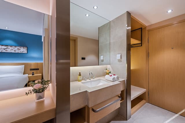 Deluxe Room (2 beds)