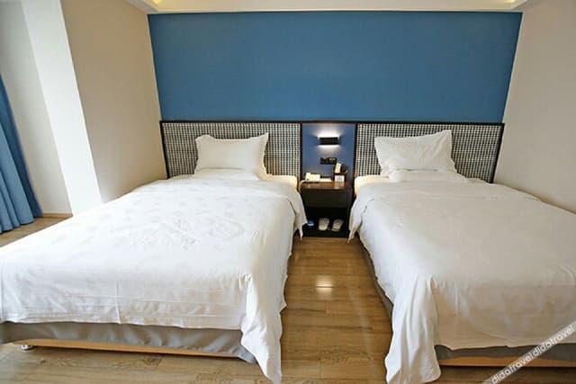 Premier Twin Room