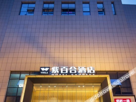 ไวโอล่า โฮเทล เอ็กซ์เพรส (Viola Hotel Express)0