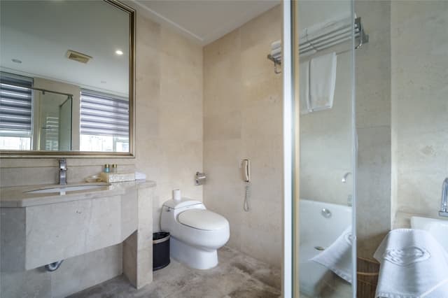 Executive Standard Room