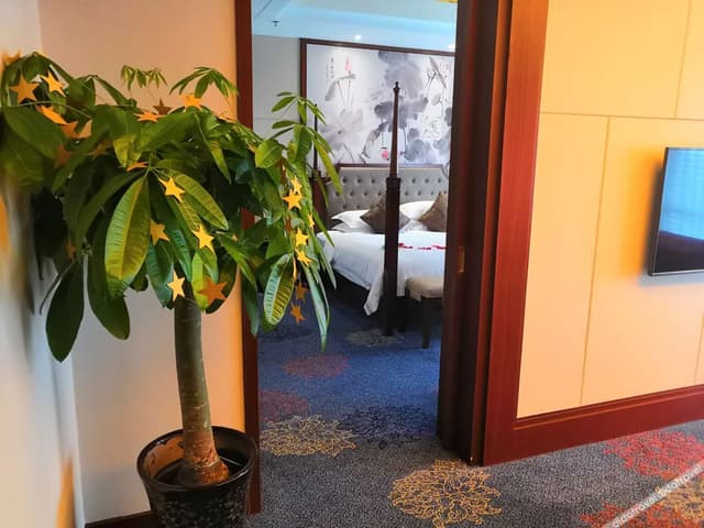 Executive Suite