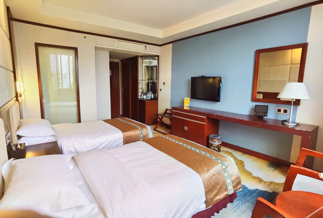 Elegant Twin Room