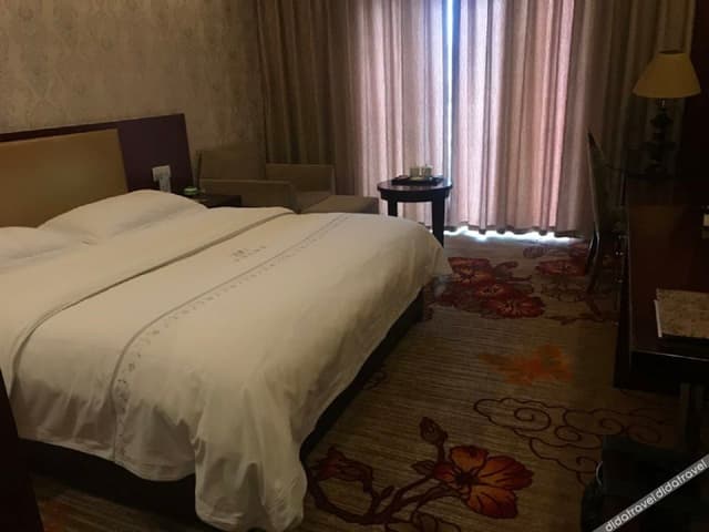 Basic Single Room