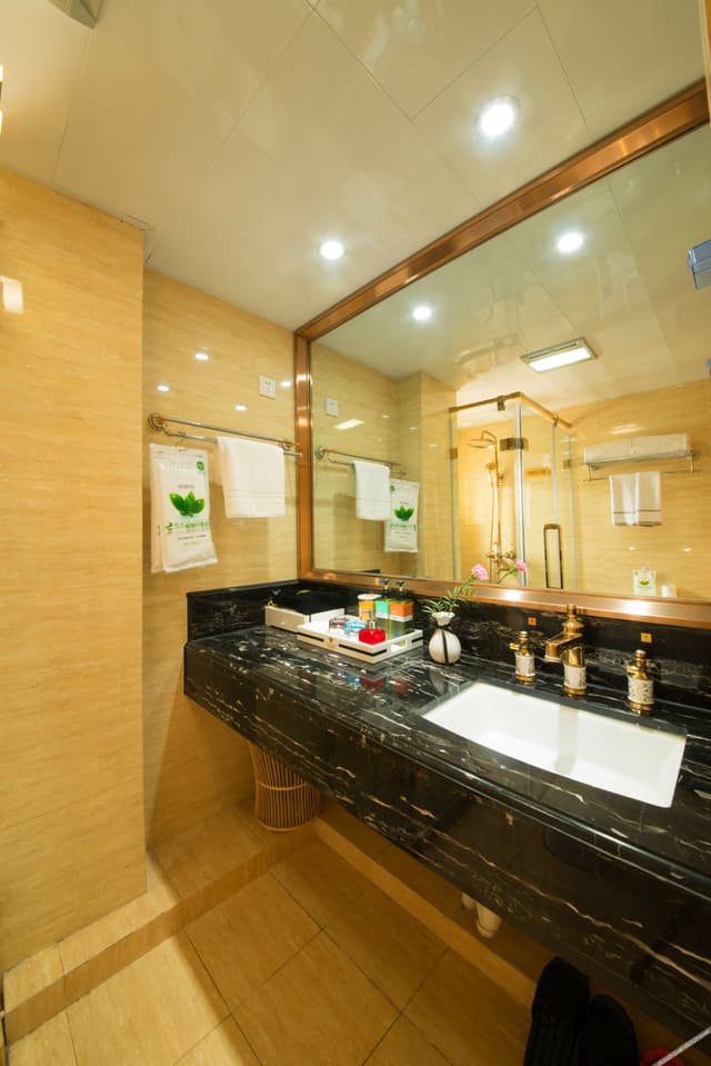 Premier Classic Room (Double bed)