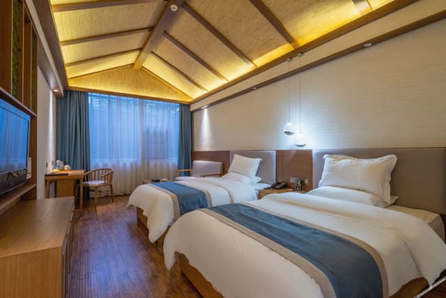 Elegant Twin Room