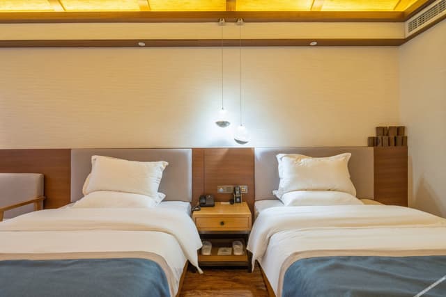 Elegant Twin Room