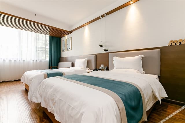 Elegant Twin Room