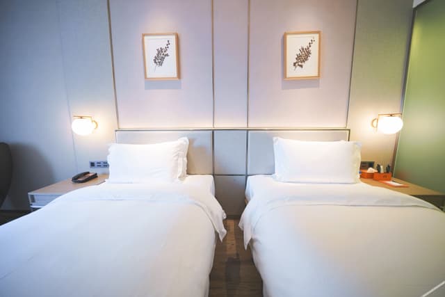 Modern Room (2 beds)