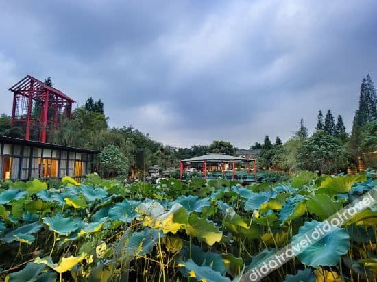 hongshadayuan Hostel (Chengdu sanshenghuaxiang) hongshadayuan Hostel (Chengdu sanshenghuaxiang)