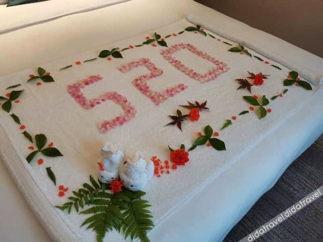 Elegant Double Bed Room