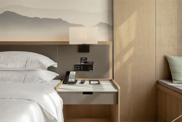 Guestroom - Double Occupancy (Double bed)