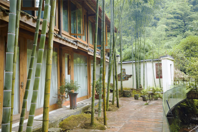 Courtyard Suite