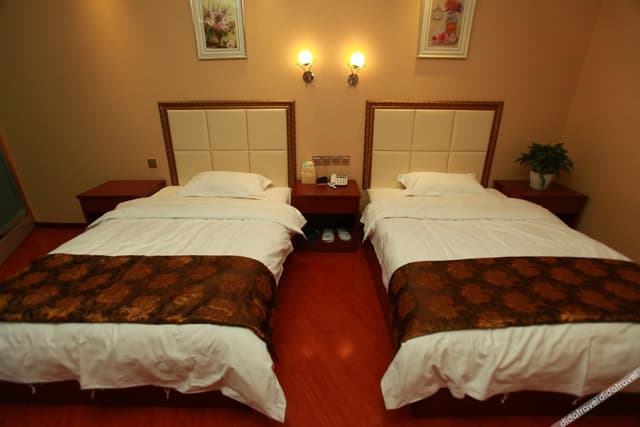 Cozy Twin Room (No Window)