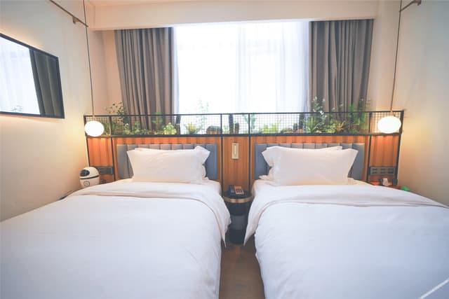 Modern Room (2 beds)