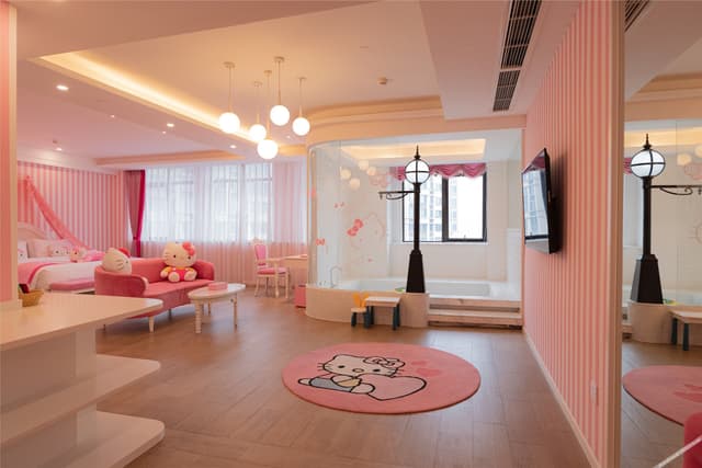 Princess Theme Room