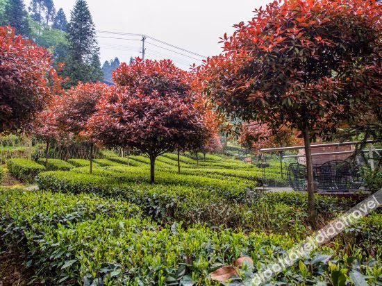 Quyuan Yaju Hotel Tiantai Mountain1