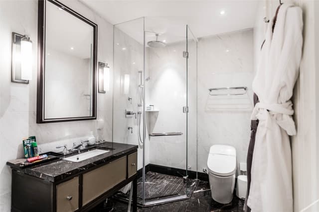 Deluxe View Suite Room