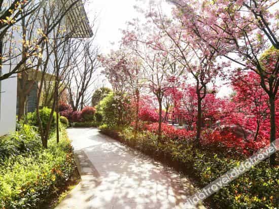 Mount Qingcheng Grand Hotel Mount Qingcheng Grand Hotel