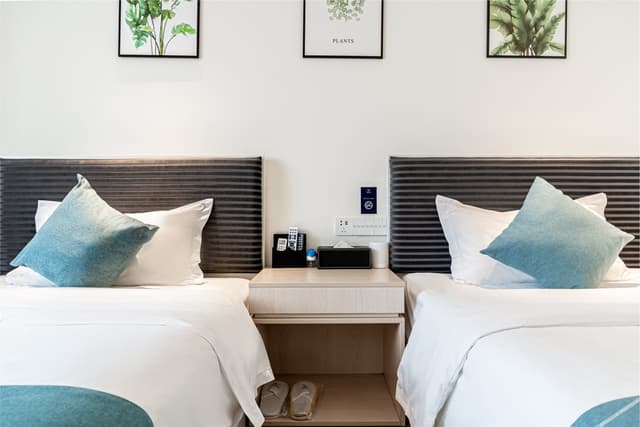 Elegant Twin Room