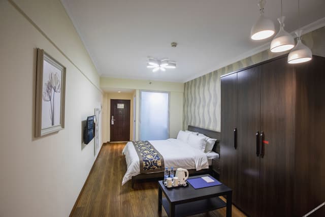 Modern Style Double Bed Room
