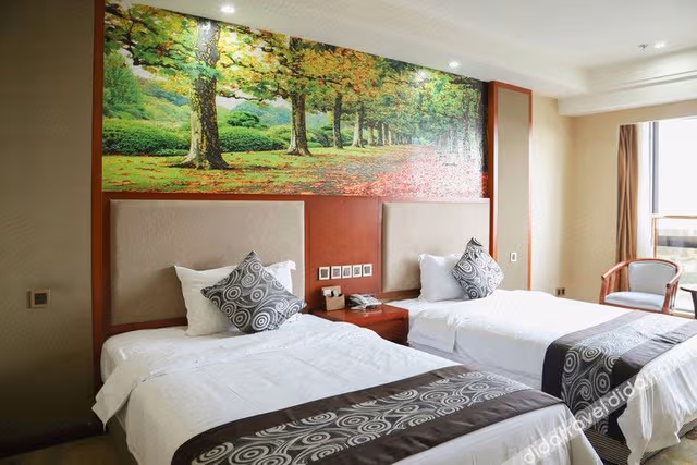 Superior Room (2 beds)