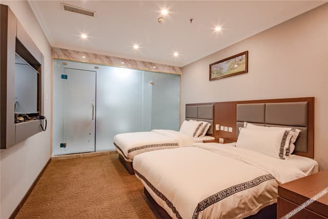 Basic Twin Room