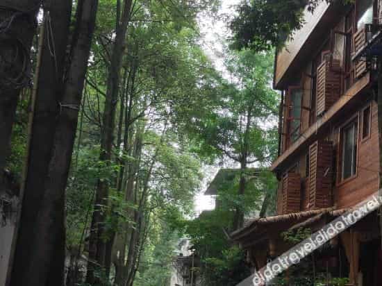 Qingcheng Mountain Chuanqiong Migratory Bird B&B Qingcheng Mountain Chuanqiong Migratory Bird B&B