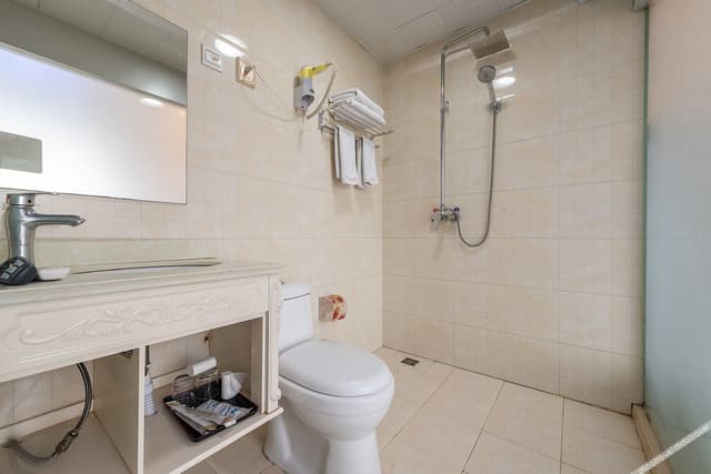 Elegant Twin Room