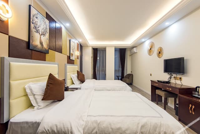 Panoramic Deluxe Standard Room