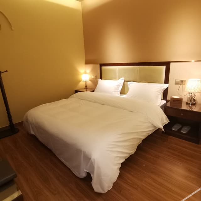 Boutique Double Room