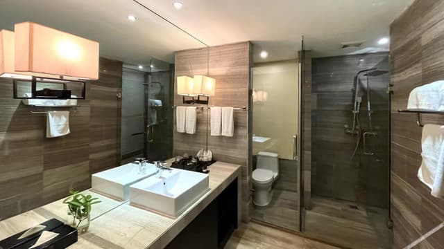 Large Single Room
