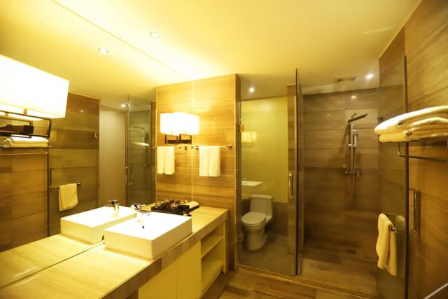 Large Single Room