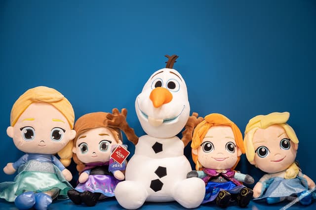 Frozen Theme Family Suite