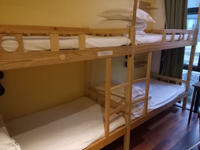 Bed in Guestroom (Bunk-Bed) (Females only, room rate calculated per person, shared bathroom)