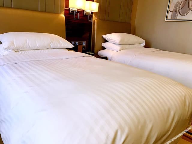 Cozy Twin Room