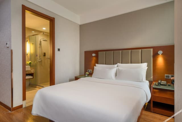 Business Double Room (Without window)