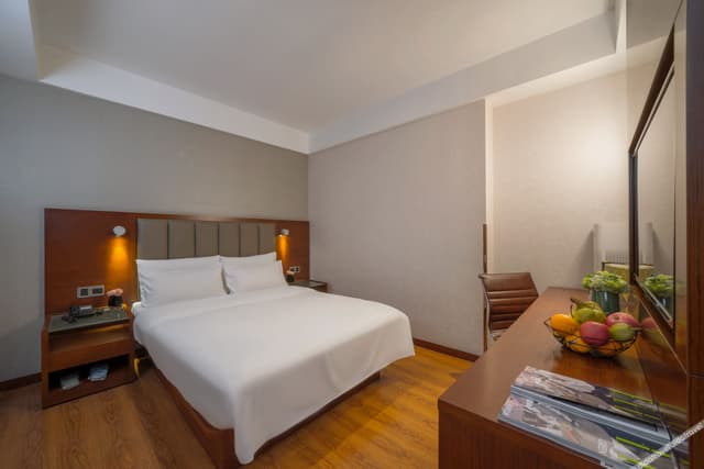 Business Double Room (Without window)