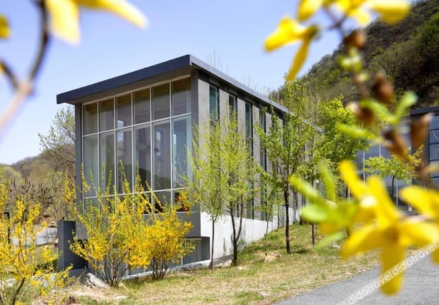 Forest House