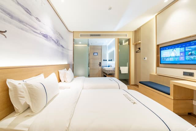 Light Luxury Business Twin Room