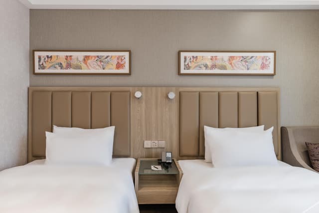 Deluxe Room (2 beds)