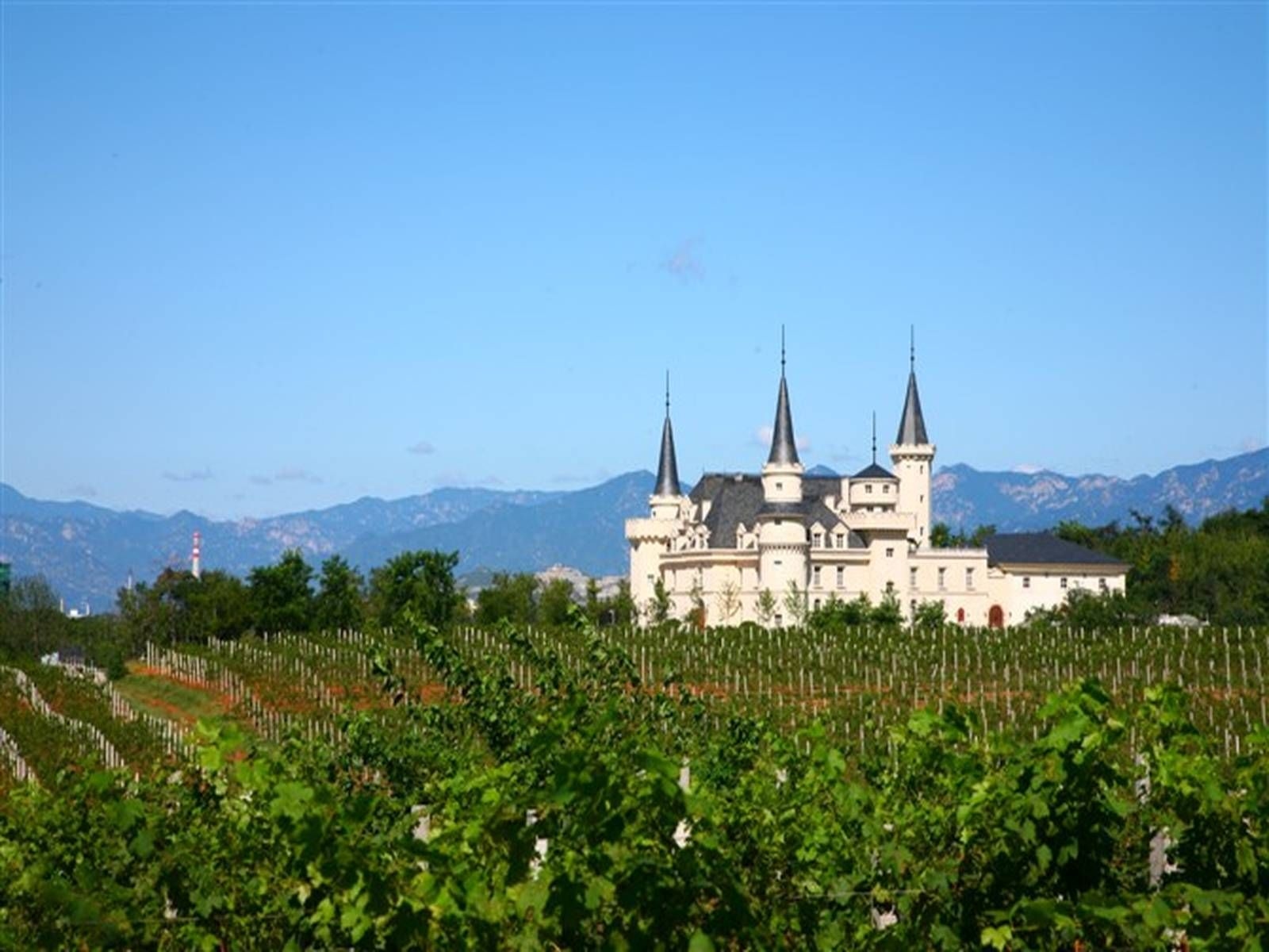 ชาโต ชางอวี่ เอเอฟไอพี โกลบอล (Chateau Changyu AFIP Global)3