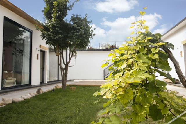 Whole Courtyard