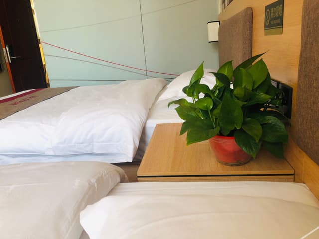Superior Room (2 beds)