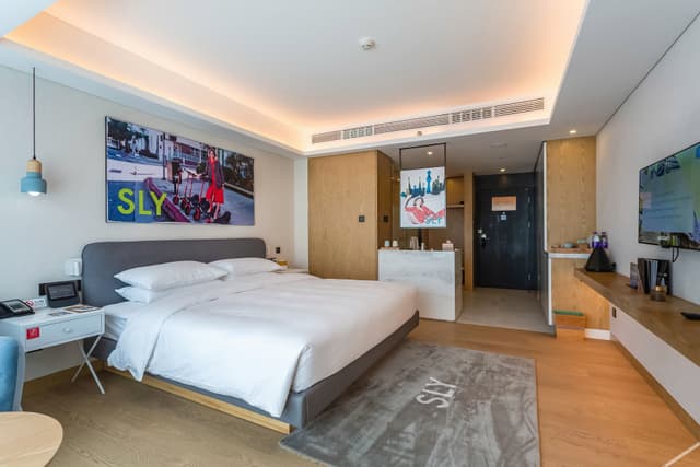 Modern Room - Double Occupancy (King bed)
