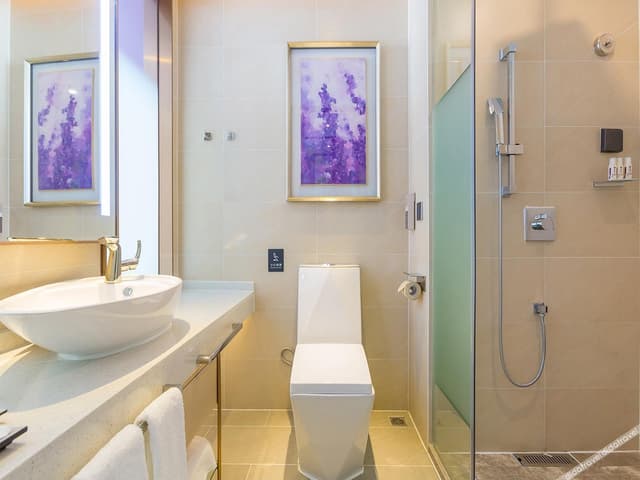 Business Double Room