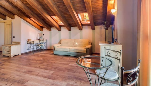 Family Room (with sofa bed)