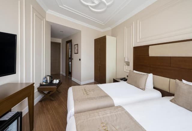 Superior Double or Twin Room