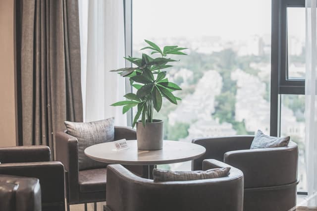 Deluxe Suite